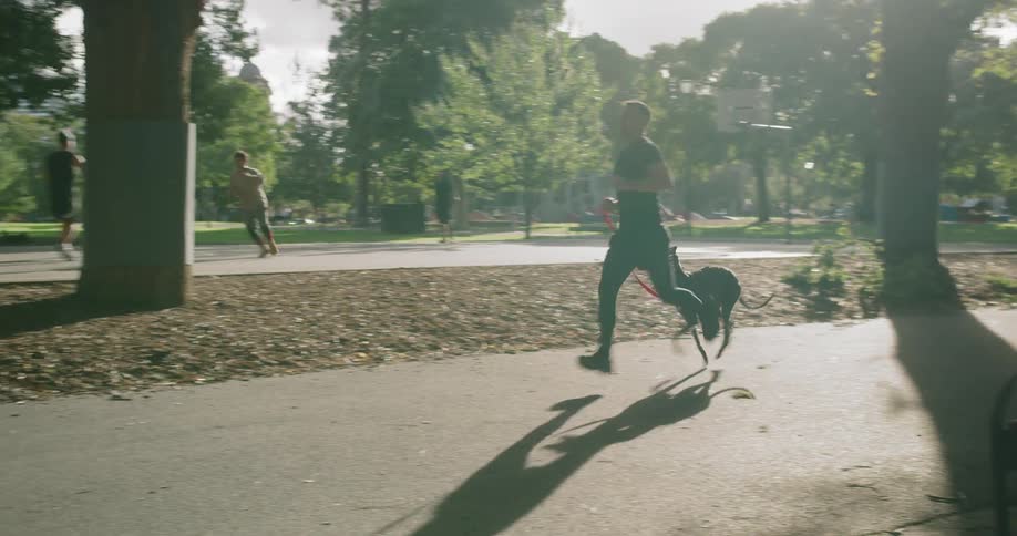 Man and his dog running on public park at day next to basketball court