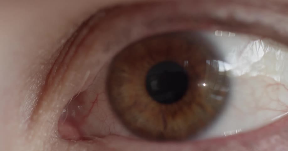 A hazel human eye blinking