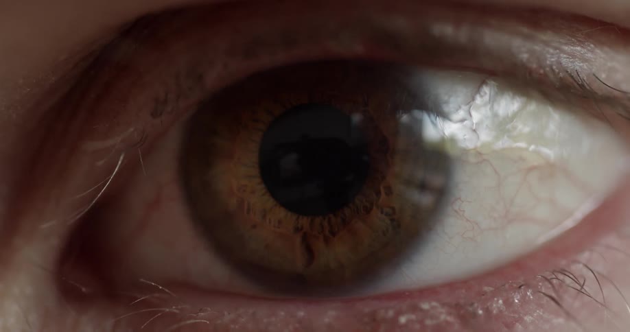 An eyeball moves slightly and blinks several times