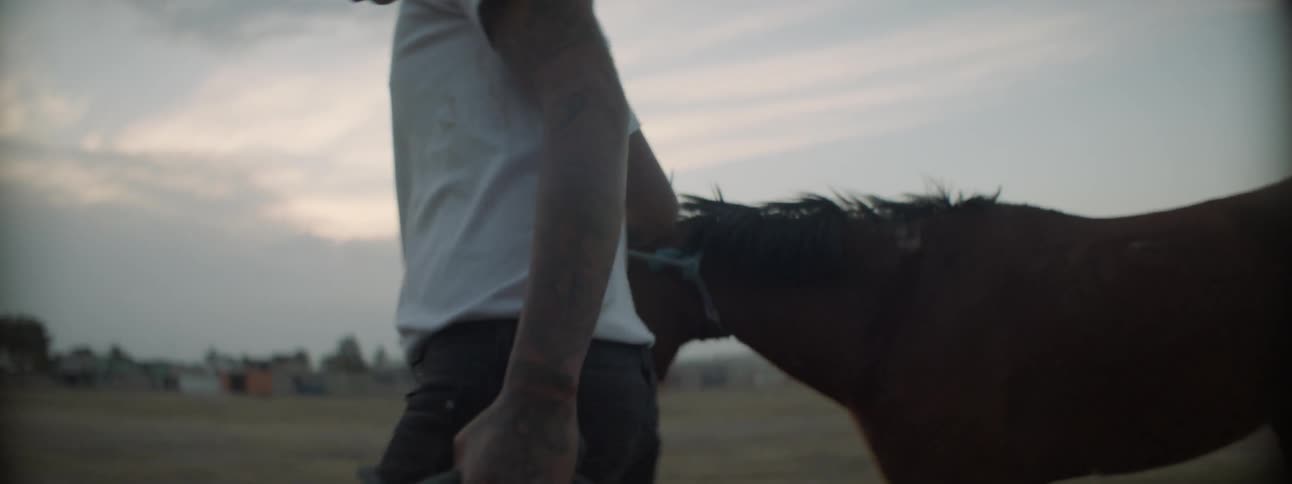 A young man leads a horse in a field