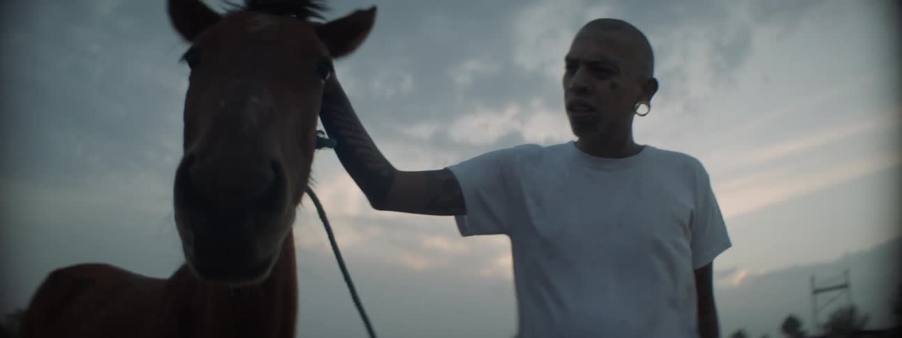 Man leading a horse with a rope on a field at sunset