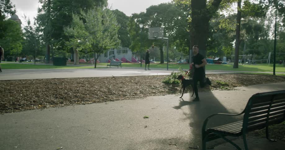 Man and dog running on park near basketball court
