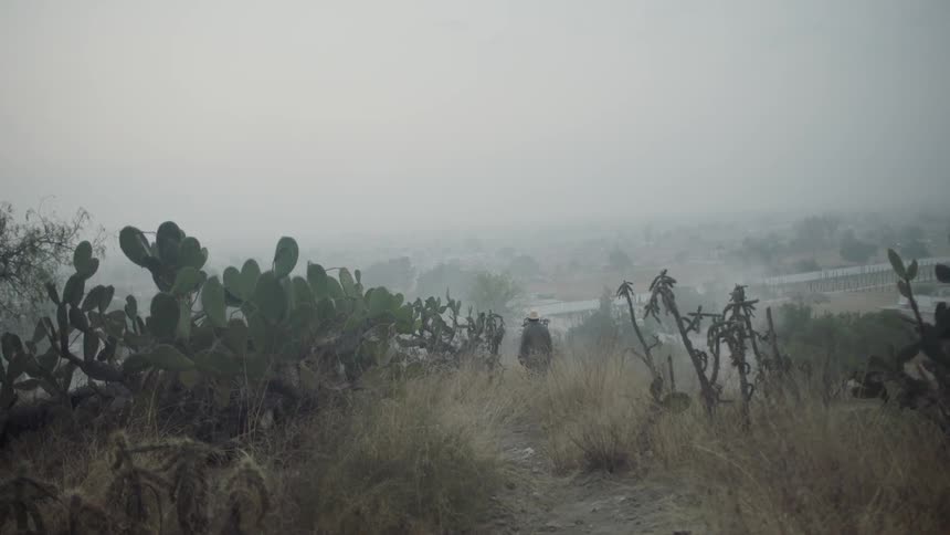 A person walks down a hill on trail of grass and brush on a foggy day