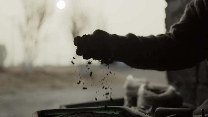 A person picks up a handful of dirt from a tray and lets it fall back down through their fingers