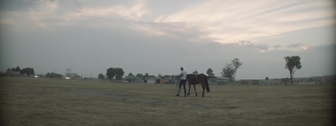 Man leads horse across field near road