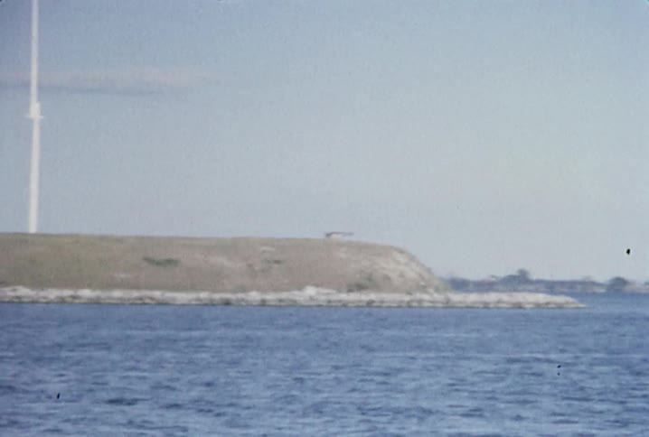 Shoreline with trees and houses seen from a boat