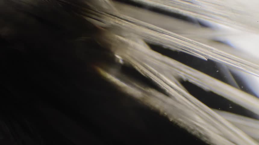 Thin clear spears emerge and thicken in liquid