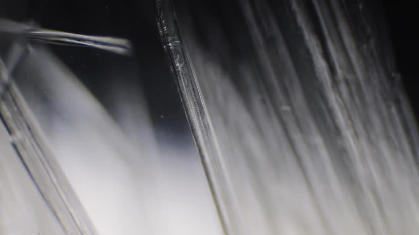 Crystalline structures forming in a clear liquid