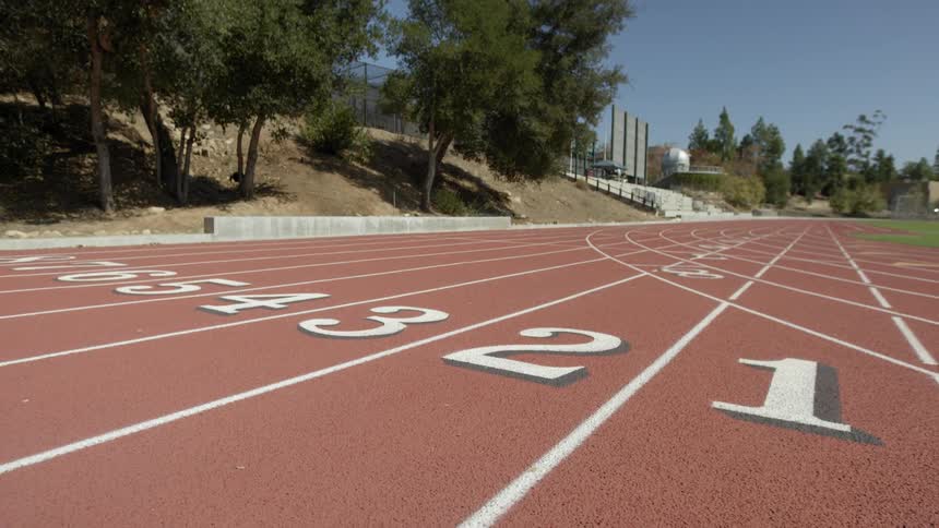 A track labeled with numbers surrounded by trees