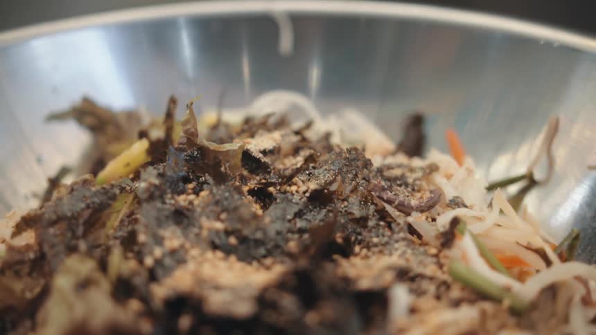 The bowl is filled with food