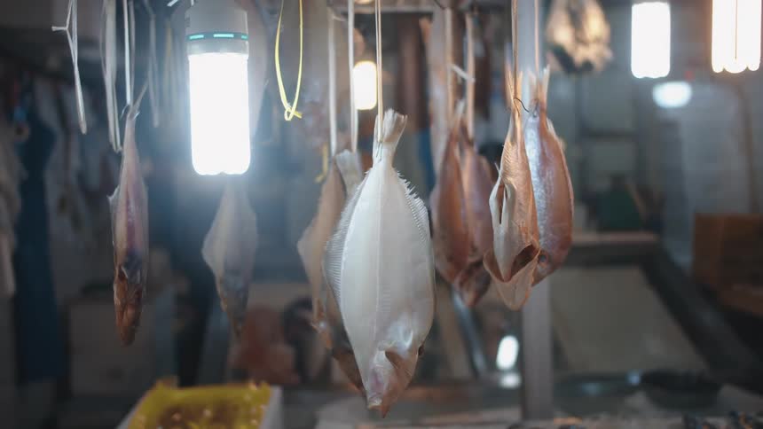 Cleaned fish hanging by twine around their tails to dry near a bright light