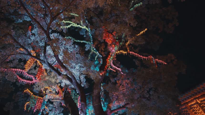 The trees are colorful at night
