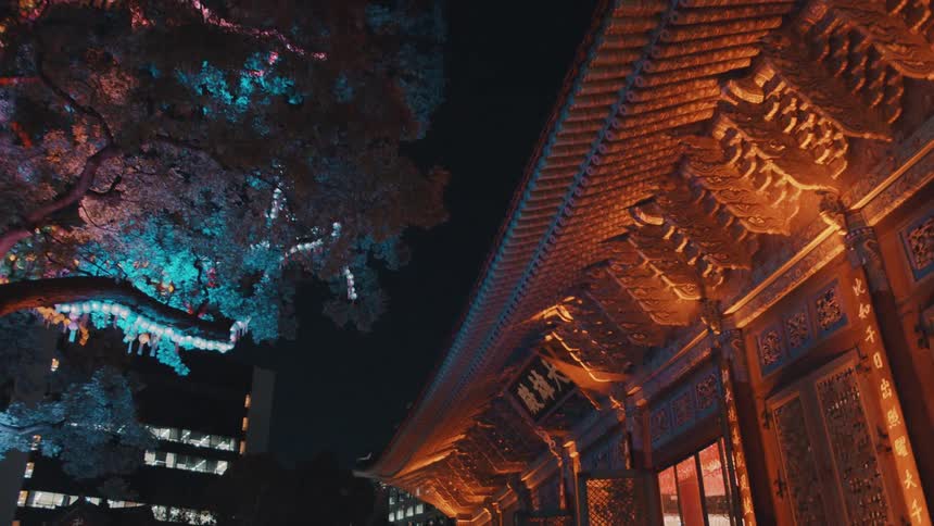 Building decorated with carvings next to tree with colored lights