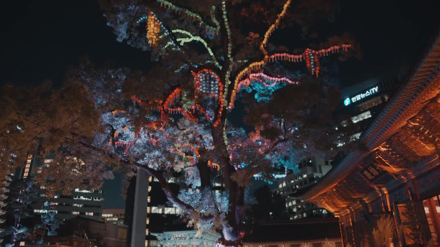 Lights decorate tree in garden near ornate building with skyscrapers in background