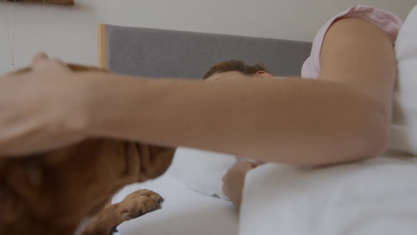A woman petting a dog as it climbs into her bed