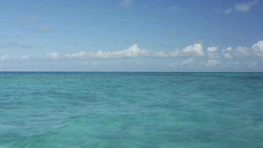 The water is clear and rough in the ocean