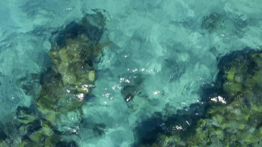 Coral reef is visible through clear blue water