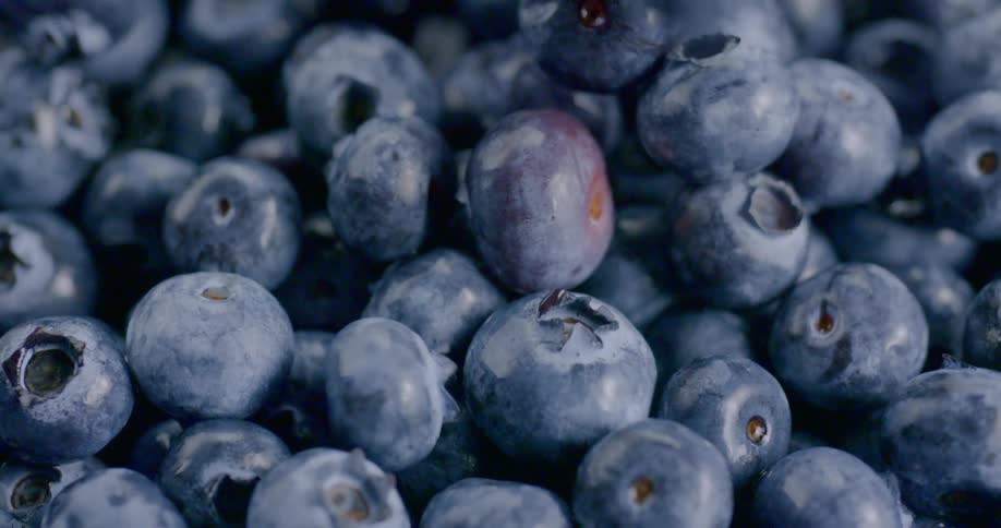Blueberries dropping on to a pile of blueberries