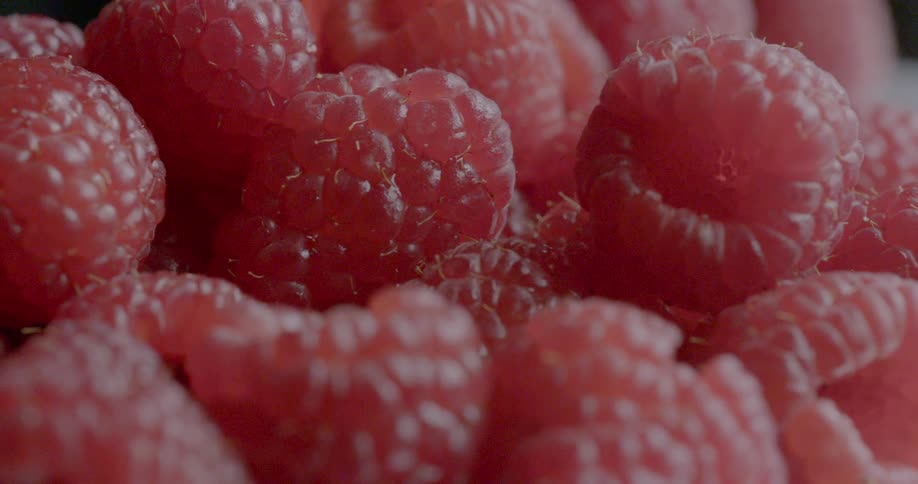 Fresh raspberries reflect light