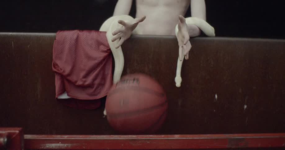 A man with two snakes wrapped around his arms drops a basketball