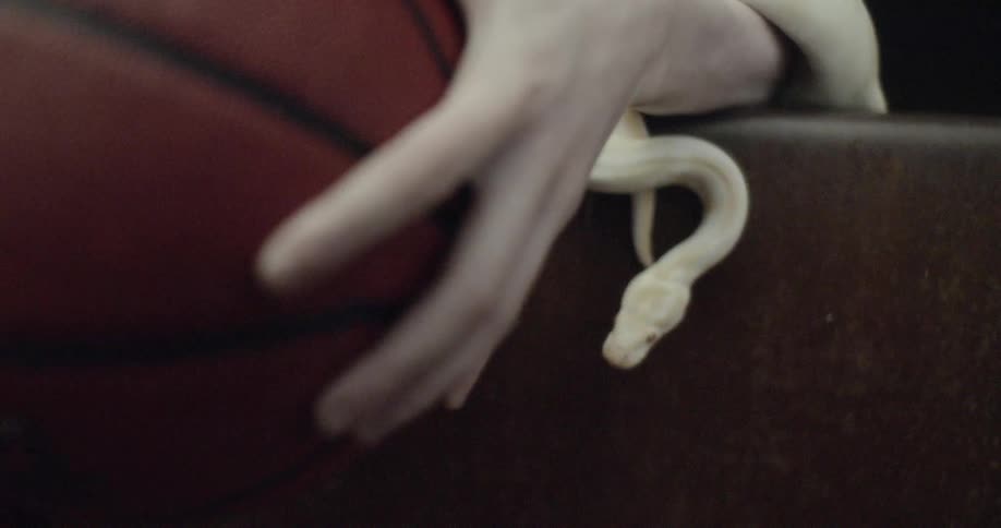A person holds a basketball and a snake slithers under their arm