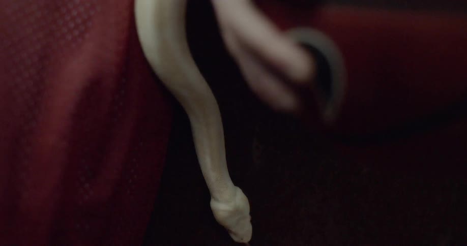 A snake slinks down the leg of a person holding a basketball