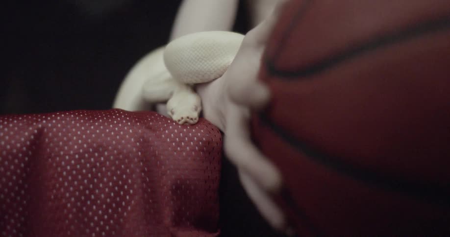 A man holds a basketball with snakes wrapped around his arms