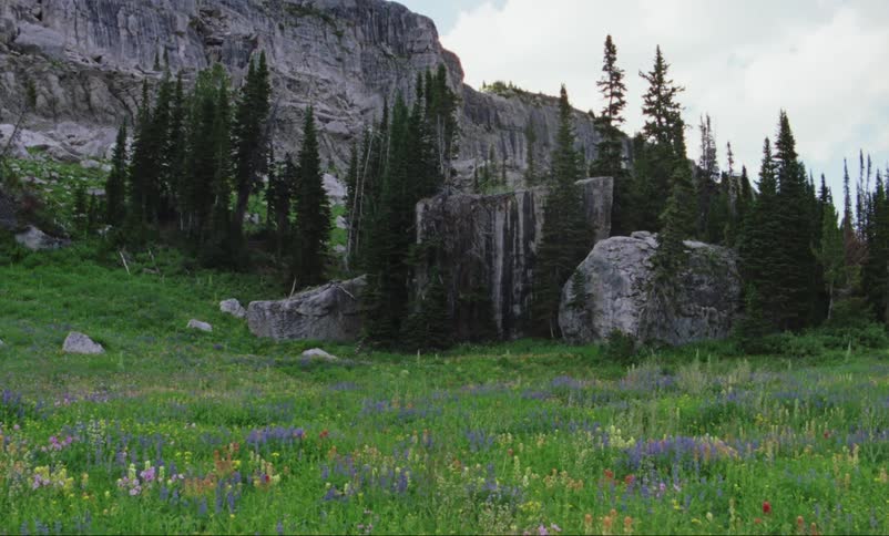 The grassy field sits next to the rocks and trees