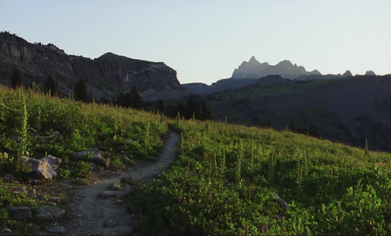 A dirt trail is cut through light vegetation growing on the side of a hill near a mountain range