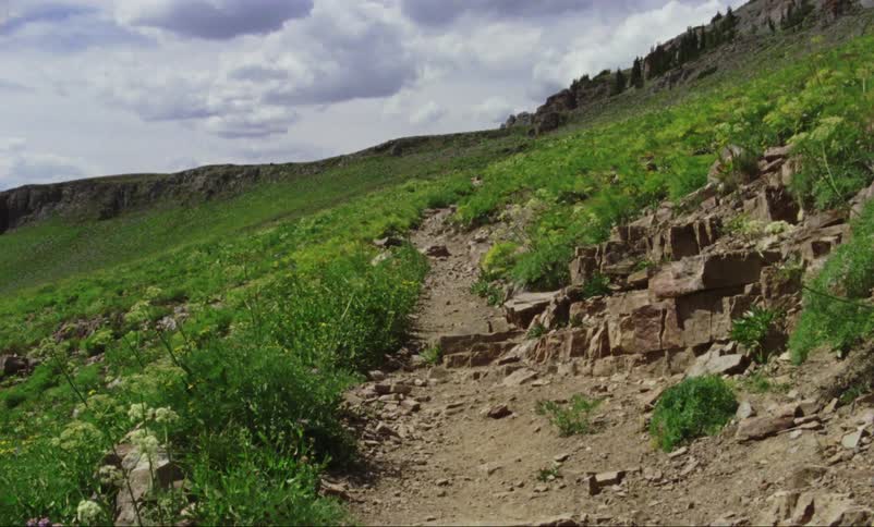 A dirt path through a grassland on a slope
