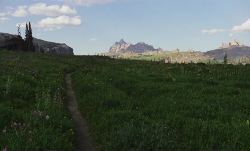 Grassy field sits near the mountains under the blue sky