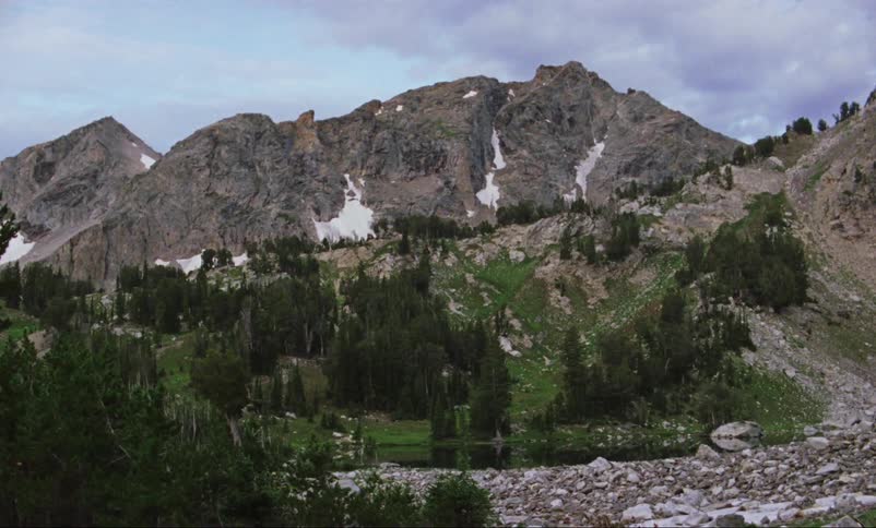 Static shot of rocky mountains with evergreen trees on slopes