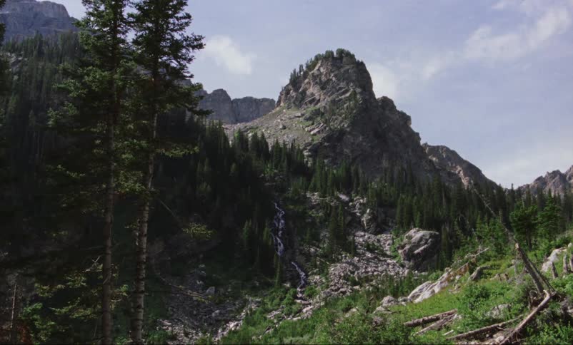 Landscape view of trees in front of a mountain