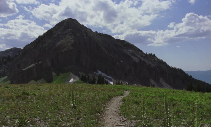A path leads through an alpine meadow next to a mountain
