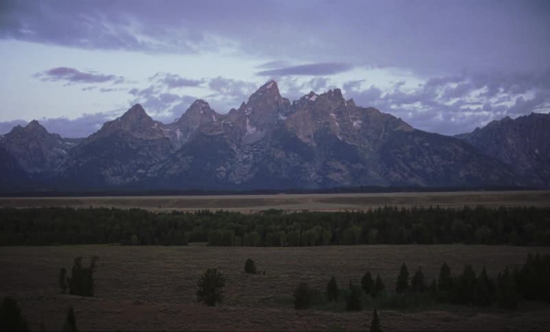 The forest sits on the field before the mountain range