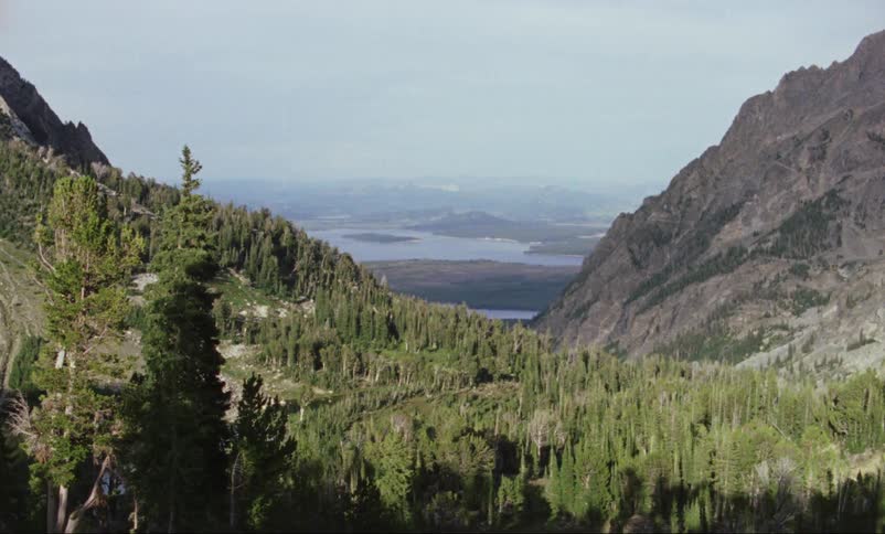 Pine forest on mountain looking over lakes on valley at day