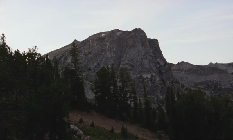 Vintage film of rocky mountain range and conifers