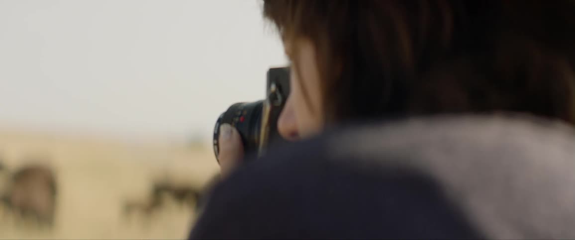 A woman takes pictures of animals