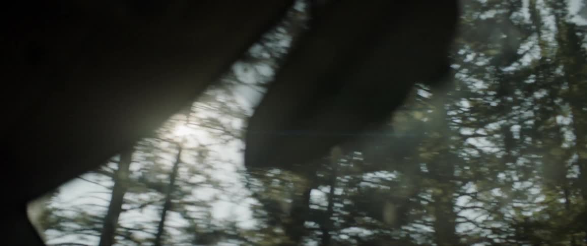 A view of the sun from the vehicle