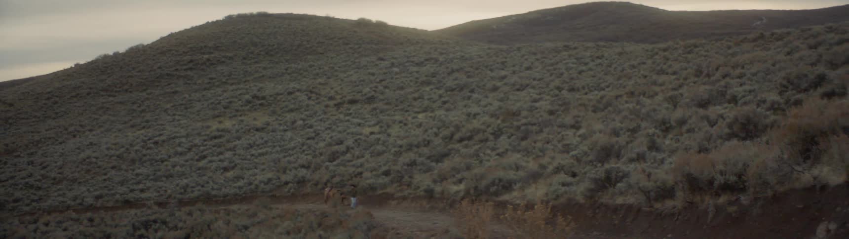 An adult and a child lead a horse down a dirt road