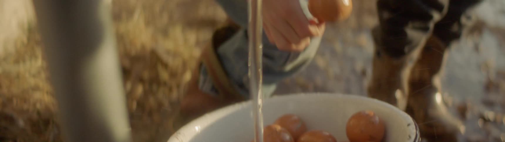 Boys wash off fresh eggs at an outdoor faucet