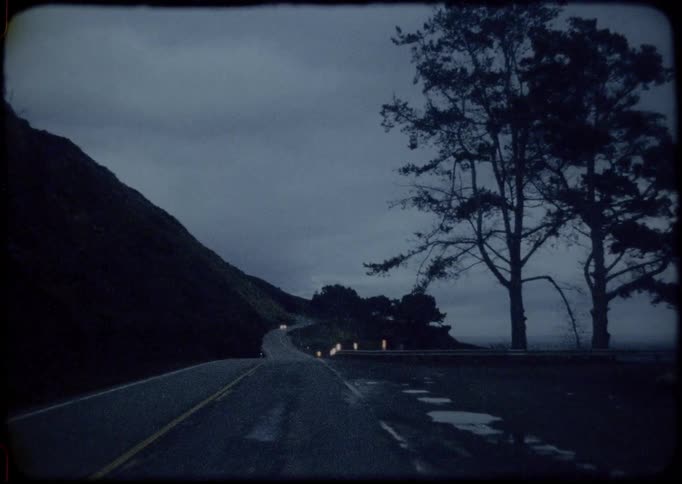 A road near the coast with trees