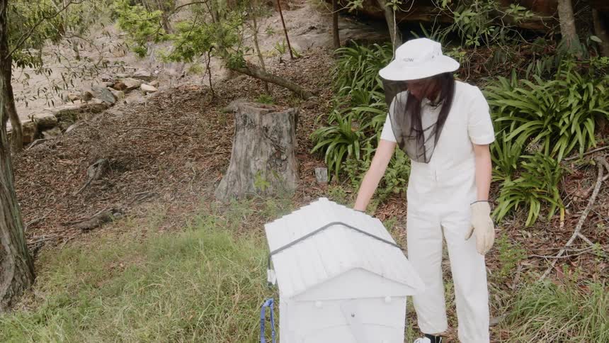A beekeeper sprays a bee house