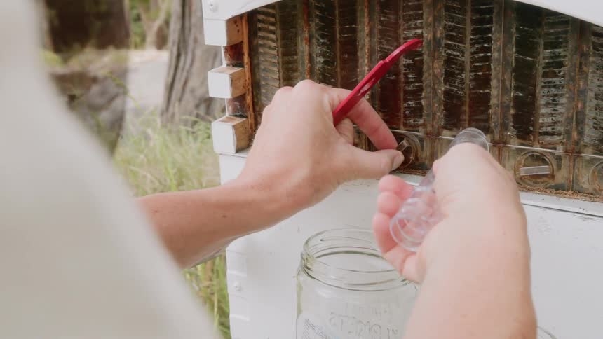 A person is attaching tubes to a bee hive