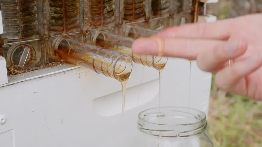 A woman puts her finger under a spout as honey drips out