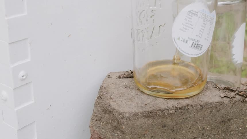 Liquid honey being poured into a jar with a round white label on it
