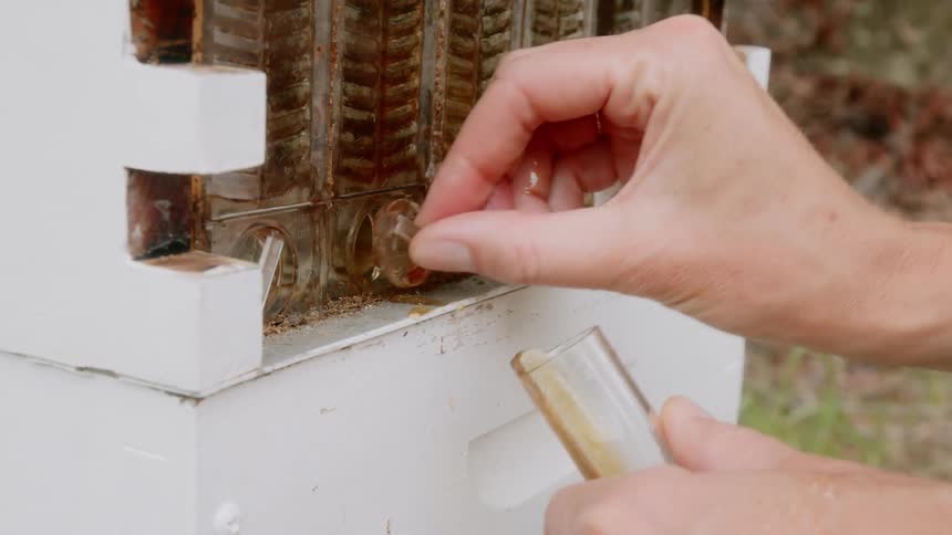 A person removes the tube from a bee hive on the farm
