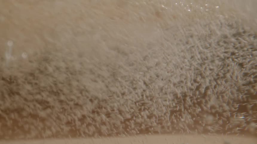 Bubbles float around in the liquid