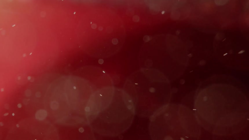 Bubbles and particles swirl in crimson liquid