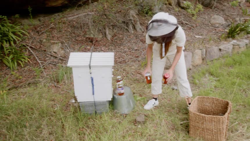 A bee keeper collects jars of honey from an apiary